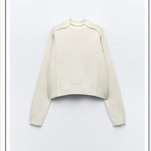 Zara roll neck sweater